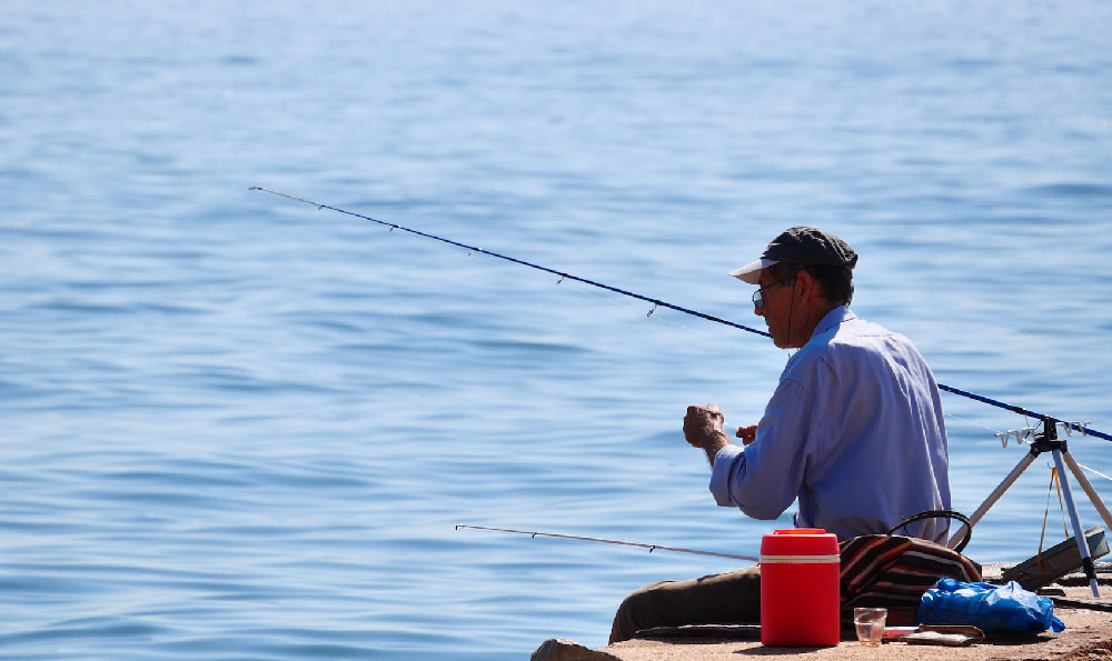 夏季垂钓鲂鱼的技巧和方